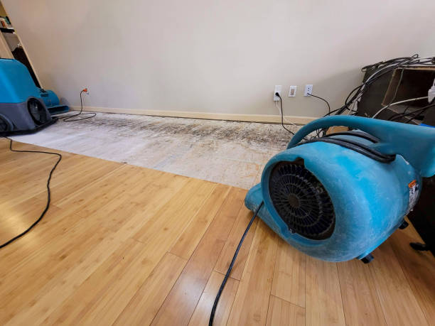 Professional Emergency Water Damage technician working in Schoolcraft, MI